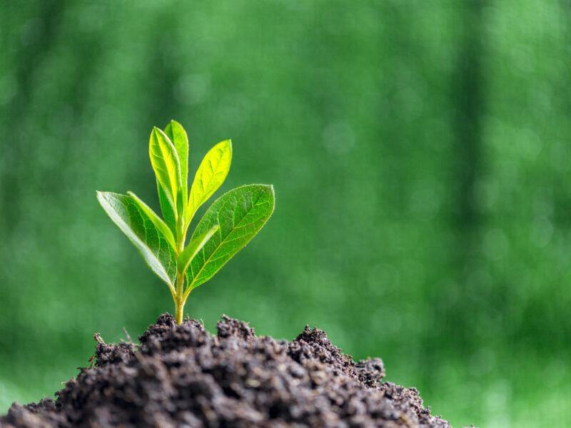 https://fbaprodcontent.blob.core.windows.net/fba-bloggen-prod/2024/01/Improving-Mediation-Effectiveness-2000-x-1000-px-2000-x-880-px-14-800x600.jpg
